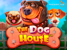 Para kazandıran köpek oyunu. How to win on slots at casino.2